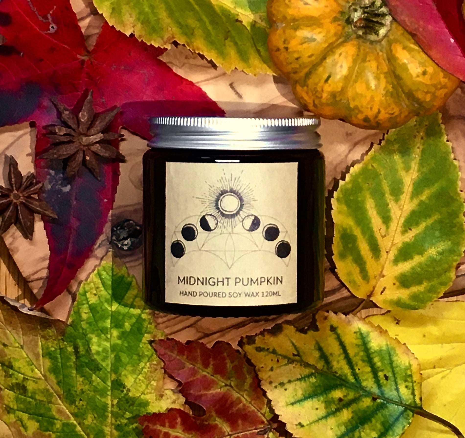 NEW - Midnight Pumpkin